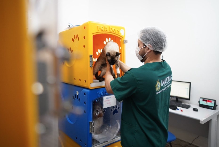 Hospital Veterinário de Manaus já atendeu mais de 33 mil animais desde inauguração