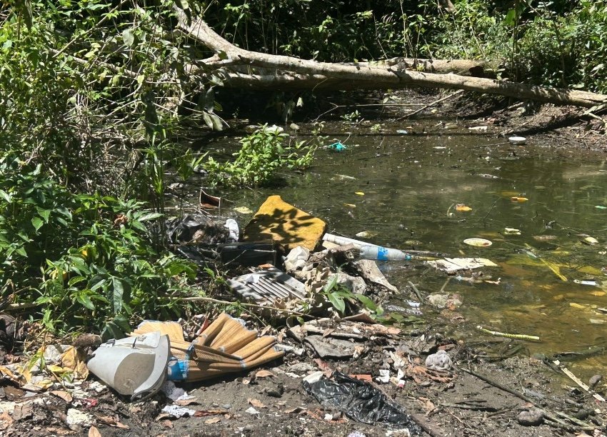 Moradores denunciam lixeira viciada em área verde no Conjunto Tiradentes em Manaus