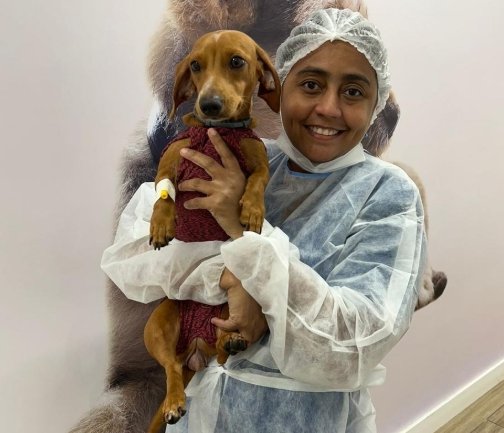 Páscoa de alerta: chocolate pode ser fatal para cães e gatos