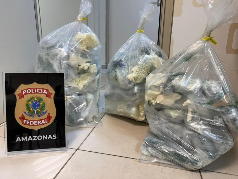 Mulher é presa no aeroporto ao tentar embarcar de Manaus para Recife com 36 kg de drogas