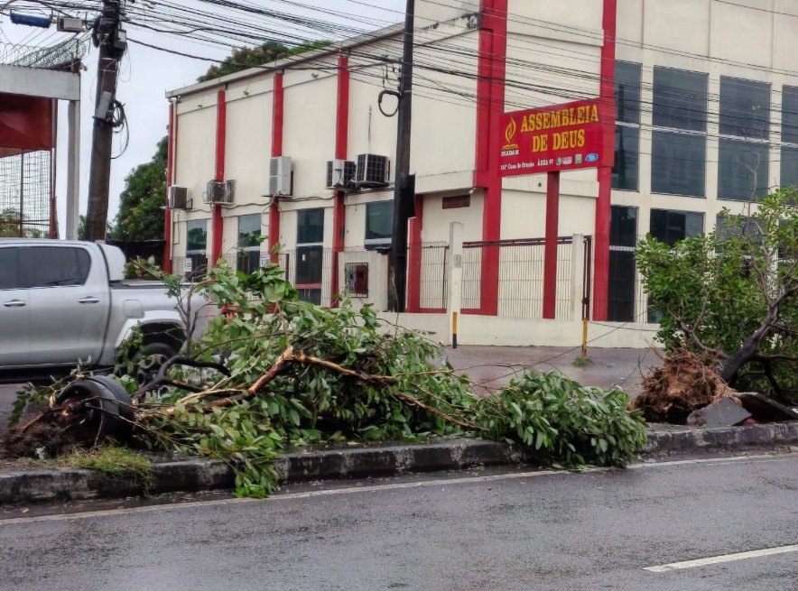 Motorista perde controle, derruba árvores e atropela motociclista na Av. Cosme Ferreira; vídeo