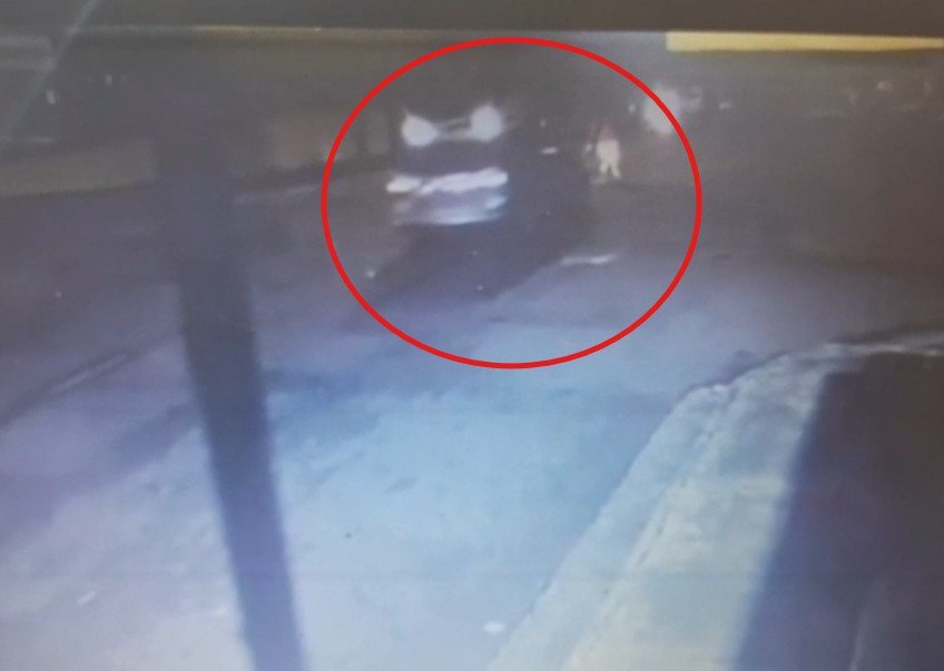 Vídeo mostra momento em que chefe de serviços gerais é atropelada no Alvorada