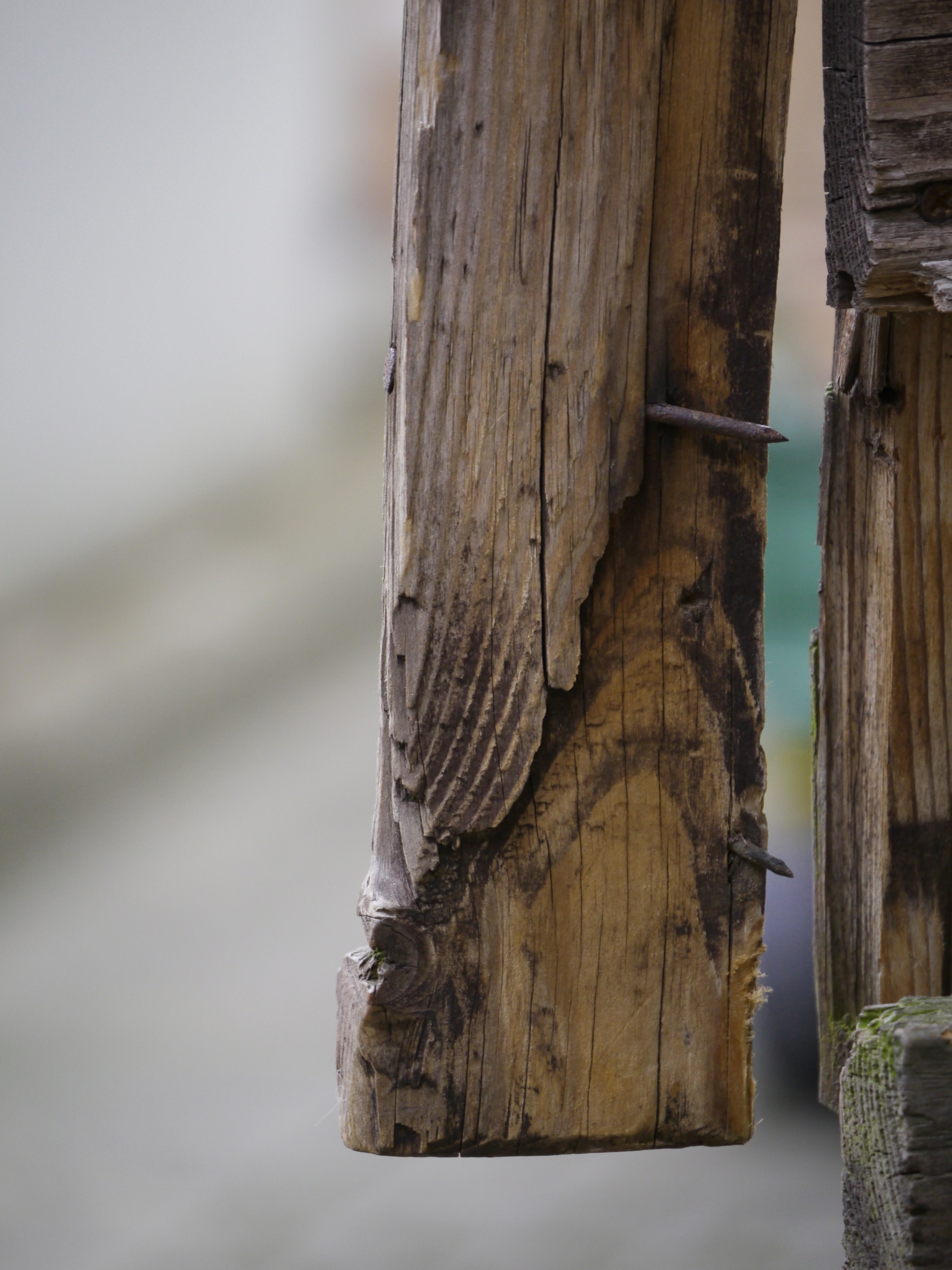 Homem é agredido a pauladas até a morte em beco no Gilberto Mestrinho