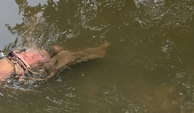 Corpo é encontrado boiando em igarapé da Compensa