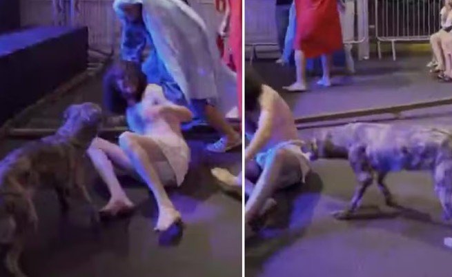 Cadela rouba a cena ao invadir palco para defender Jesus de açoites durante ato da Paixão de Cristo