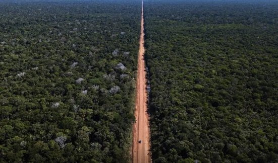 Observatório do Clima pede suspensão de obras na BR-319 no Amazonas