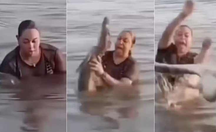 "Tronco" com dentes: Banhista confunde jacaré com pedaço de madeira