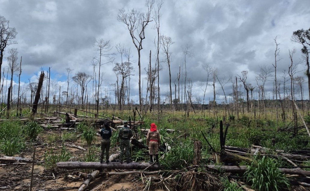 Operação do Ipaam aplica mais de R$ 10 milhões em multas ambientais no Amazonas