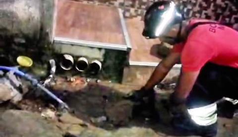 Sucuri de dois metros aparece em portão de casa e mobiliza bombeiros em Manaus