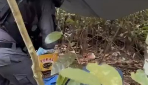 Piratas de rio rendem tripulação e trocam tiros com a polícia durante fuga no Amazonas