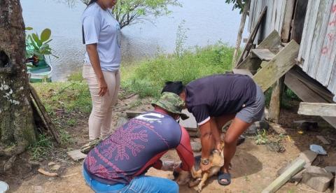 Manaus inicia vacinação antirrábica fluvial