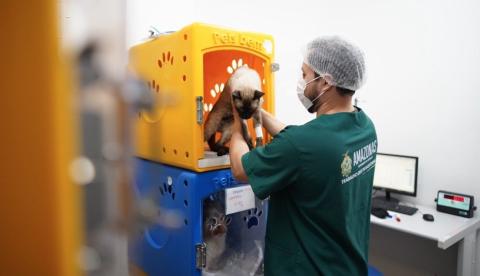 Hospital Veterinário de Manaus já atendeu mais de 33 mil animais desde inauguração