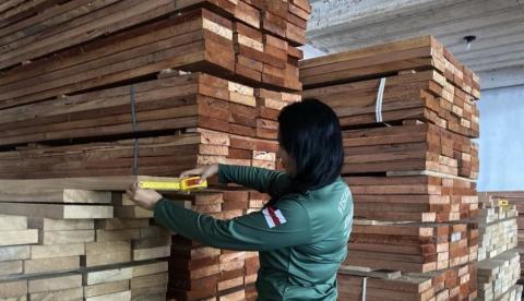 Ipaam publica novas regras para cadastro ambiental obrigatório no Amazonas