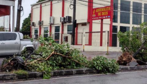 Motorista perde controle, derruba árvores e atropela motociclista na Av. Cosme Ferreira; vídeo