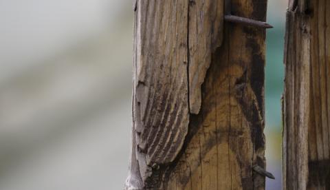 Homem é morto a pauladas em beco no bairro Gilberto Mestrinho
