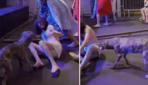 Cadela rouba a cena ao invadir palco para defender Jesus de açoites durante ato da Paixão de Cristo