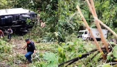 Caminhão desgovernado cai em área de mata no Distrito Industrial de Manaus; vídeo