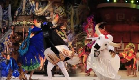 Bois Caprichoso e Garantido inspiram nova novela da Globo, diz Leo Dias