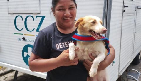 Prefeitura disponibiliza vagas para castração de pets em Manaus; veja como agendar