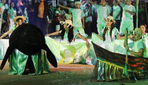 TCE-AM aponta falhas de transparência no Festival do Peixe-Boi em Novo Airão