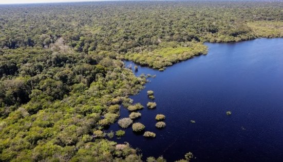 Fundo Amazônia destina R$ 350 milhões para fortalecer cooperativas e bioeconomia
