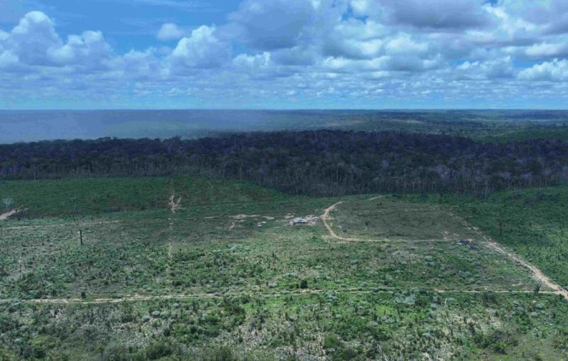 Captura de Tela 2026-04-01 às 14.32.32.jpg