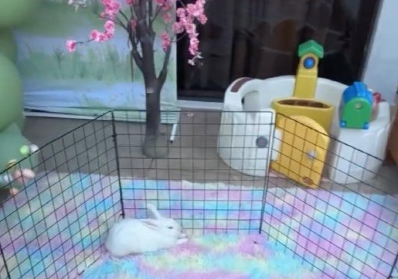 Captura de Tela 2026-04-15 às 08.52.33.jpg