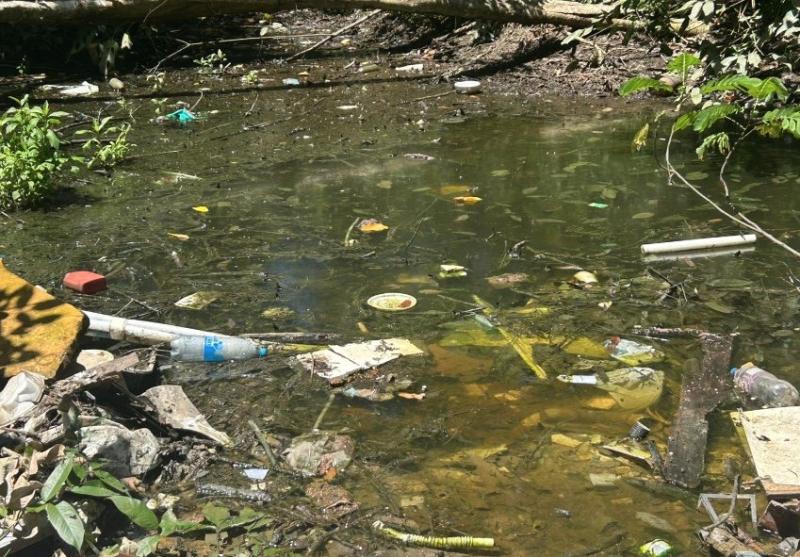 Captura de Tela 2026-04-29 às 11.47.47.jpg