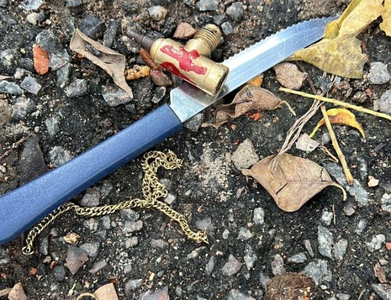 Captura de tela_5-4-2026_153159_web.whatsapp.com.jpeg