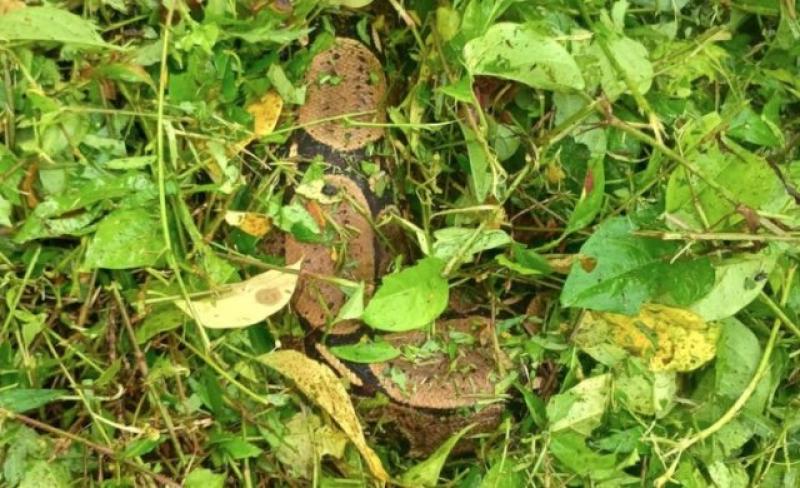 Captura de Tela 2026-04-16 às 11.08.55.jpg