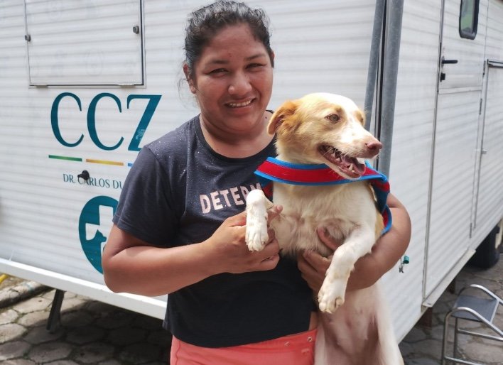 Prefeitura disponibiliza vagas para castração de pets em Manaus; veja como agendar