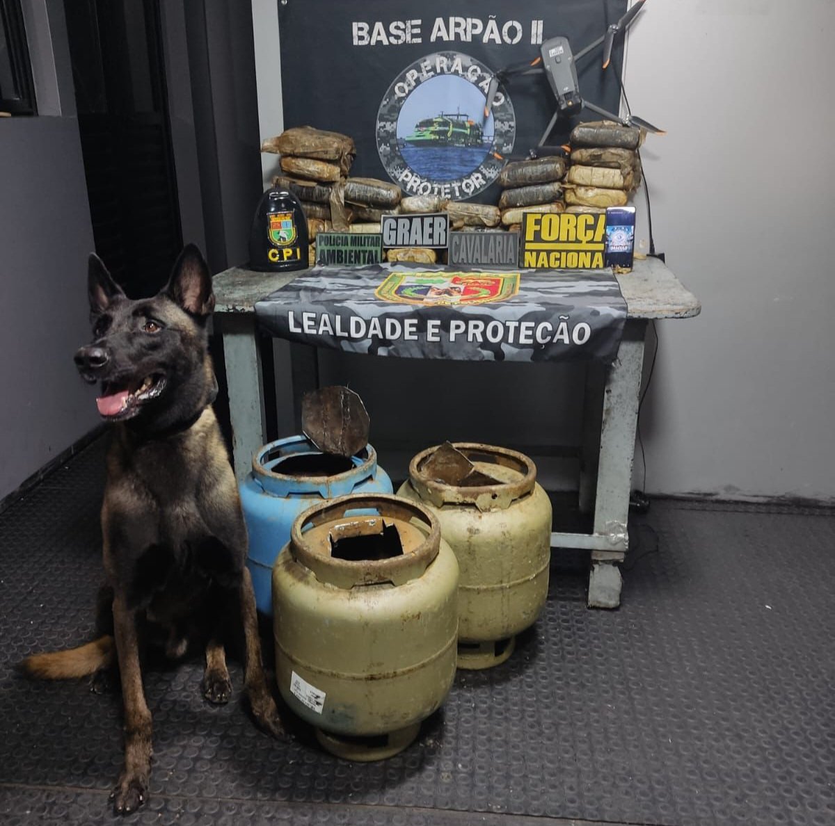 Cão farejador localiza quase 30 kg de drogas escondidos em botijas de gás no Amazonas