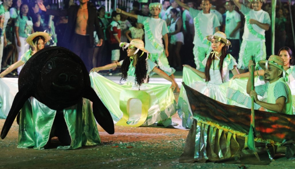 TCE-AM aponta falhas de transparência no Festival do Peixe-Boi em Novo Airão