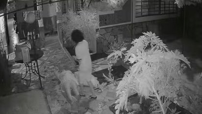 Idosa é agredida por hóspede embriagada em pousada no DF; vídeo