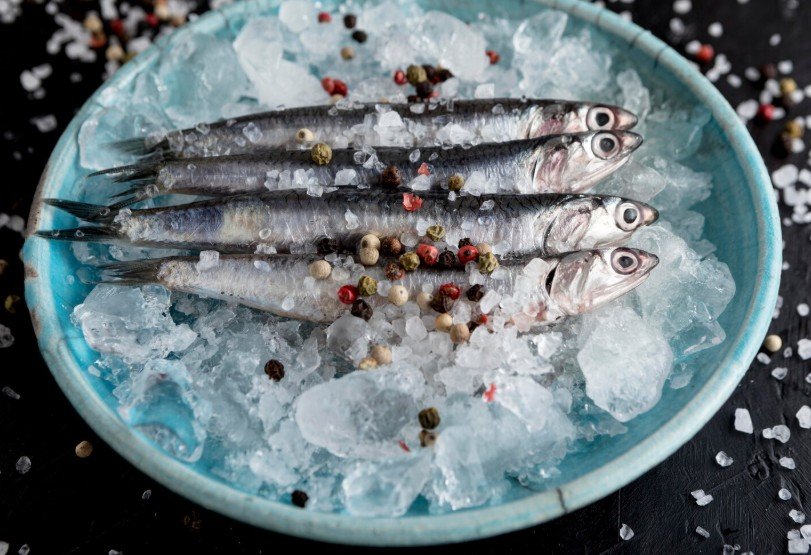 Anvisa manda recolher lote de sardinha congelada contaminado com Salmonella