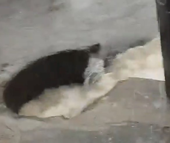 Menino cai em bueiro durante chuva forte em Manaus e é resgatado com vida