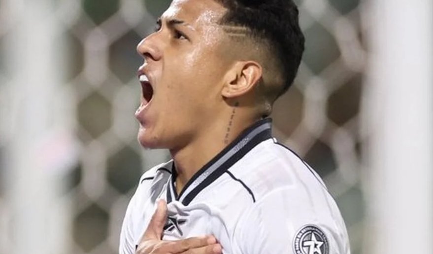 Botafogo goleia a Chapecoense por 4 a 1 na Arena Condá