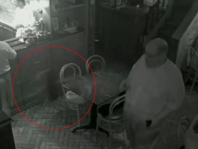 Cantor Ed Motta arremessa cadeira durante briga em restaurante; vídeos registram confusão
