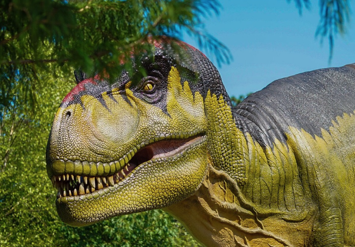 Estudo mostra que T. Rex "sacrificou" braços para turbinar o crânio