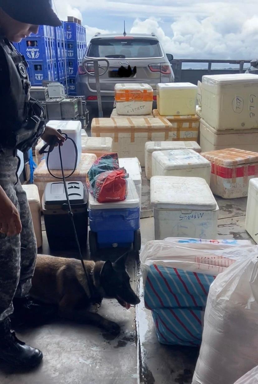 Operação na Base Arpão 2 intercepta 42 quilos de skunk despachados como encomenda
