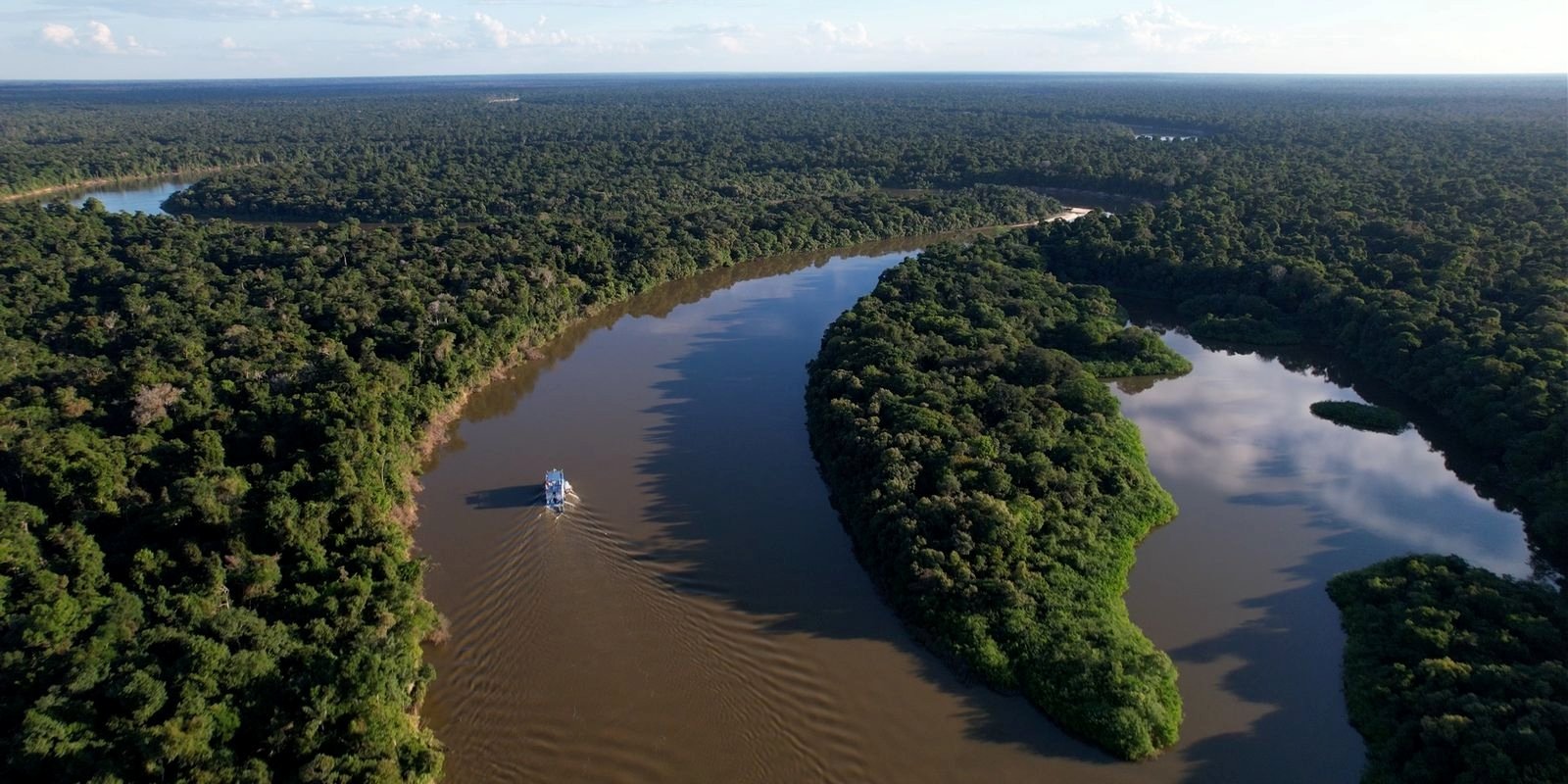 Amazonas reduz desmatamento em 14,6% e registra queda de 30% nos alertas ambientais