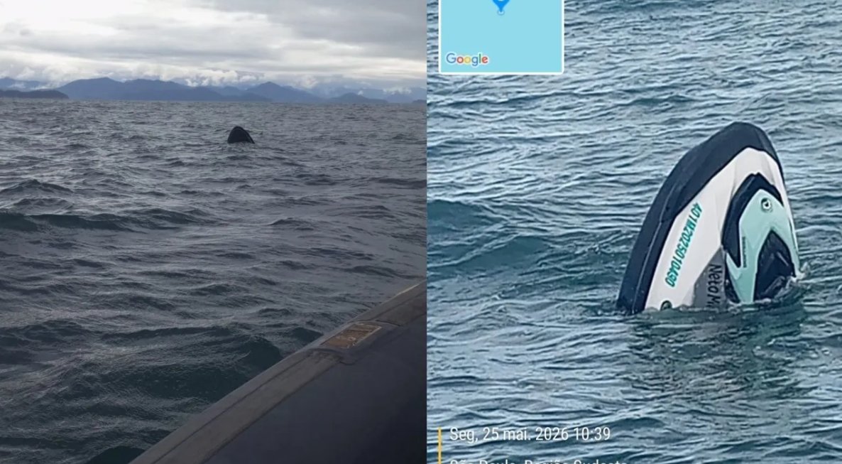 Jovem revela detalhes de acidente que a deixou 42 horas à deriva em Ilhabela