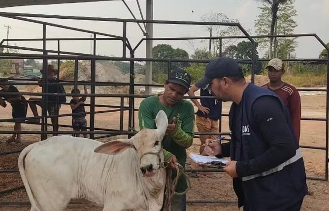 Novo caso de raiva animal é confirmado em Presidente Figueiredo, no Amazonas
