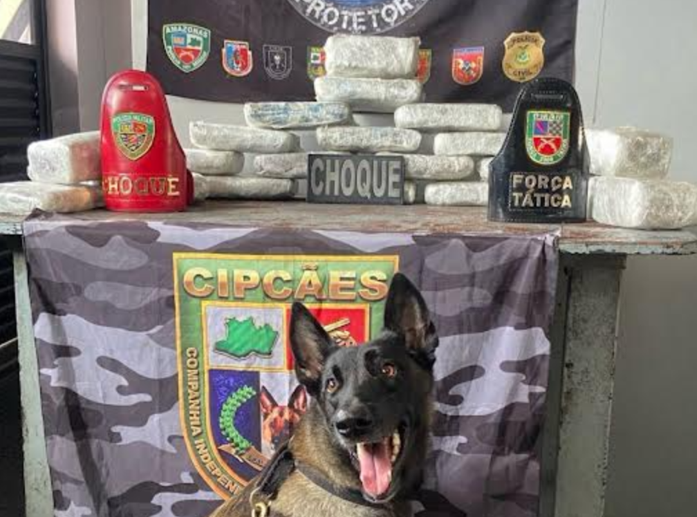 Cão farejador descobre mala no banheiro e polícia dá prejuízo de R$ 1,1 milhão ao tráfico em Coari