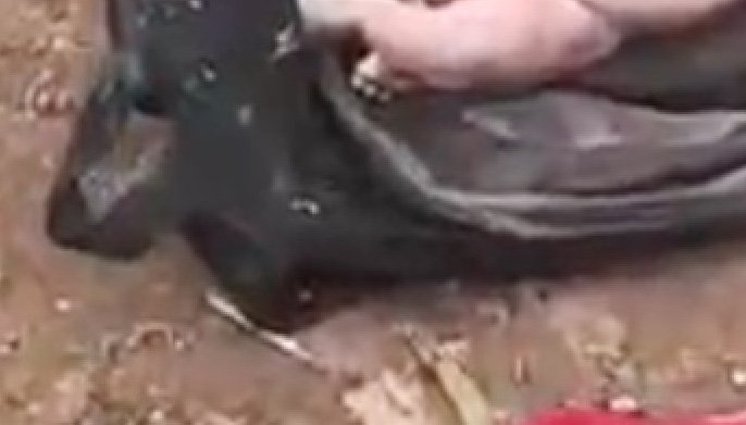 Bebê é encontrada com placenta dentro de bolsa em lixeira no Amazonas