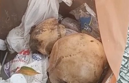 Crânio humano é encontrado em lixeira no centro de Manaus