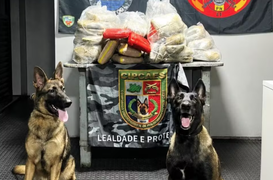 Mais de 90 kg de drogas são apreendidos em ferryboat entre Tabatinga e Manaus