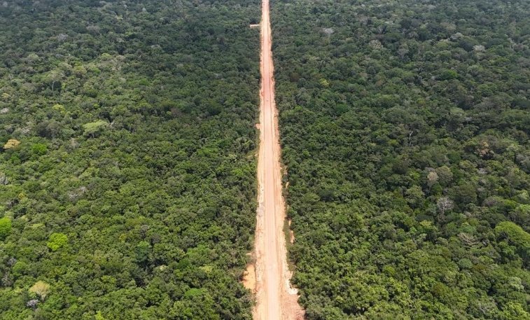 Ibama libera licença para construção de pontes na BR-319 no Amazonas