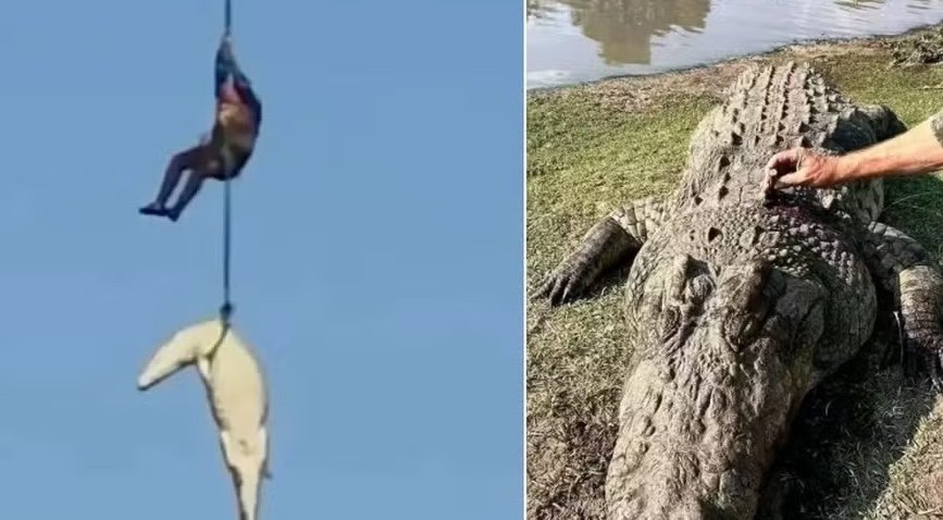 DNA confirma que restos mortais encontrados em crocodilo são de empresário Gabriel Batista