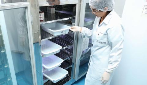 Projeto Genoma inicia coleta de DNA no Amazonas para mapear diversidade genética